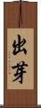 出芽 Scroll