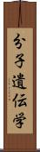 分子遺伝学 Scroll