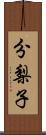 分梨子 Scroll