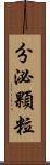 分泌顆粒 Scroll