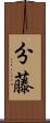 分藤 Scroll