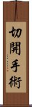 切開手術 Scroll