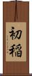 初稲 Scroll