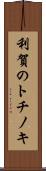 利賀のトチノキ Scroll