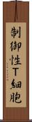 制御性Ｔ細胞 Scroll
