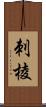 刺棱 Scroll