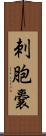 刺胞嚢 Scroll