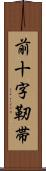 前十字靭帯 Scroll