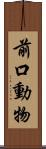 前口動物 Scroll
