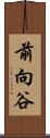 前向谷 Scroll