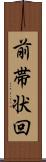 前帯状回 Scroll