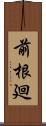 前根廻 Scroll