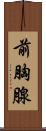 前胸腺 Scroll