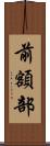 前額部 Scroll