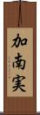 加南実 Scroll