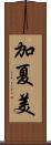 加夏美 Scroll