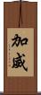 加威 Scroll