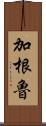 加根魯 Scroll