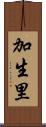 加生里 Scroll