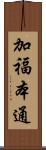 加福本通 Scroll
