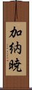 加納暁 Scroll