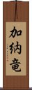 加納竜 Scroll