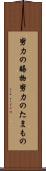 努力の賜物 Scroll