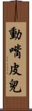 動嘴皮兒 Scroll