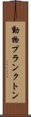 動物プランクトン Scroll