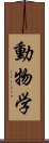 動物学 Scroll