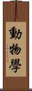 動物學 Scroll