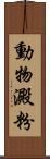 動物澱粉 Scroll