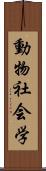 動物社会学 Scroll