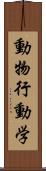 動物行動学 Scroll