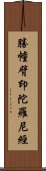 勝幢臂印陀羅尼經 Scroll