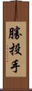 勝投手 Scroll