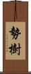勢樹 Scroll