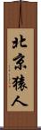 北京猿人 Scroll