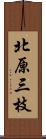 北原三枝 Scroll
