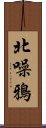 北噪鴉 Scroll