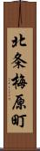 北条梅原町 Scroll