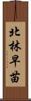 北林早苗 Scroll
