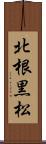 北根黒松 Scroll
