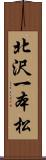 北沢一本松 Scroll