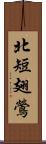 北短翅鶯 Scroll