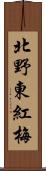 北野東紅梅 Scroll