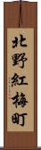 北野紅梅町 Scroll