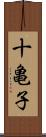 十亀子 Scroll