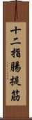 十二指腸提筋 Scroll