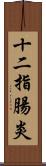 十二指腸炎 Scroll